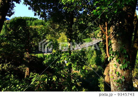 八代 立神峡の龍神橋 八代 立神峡の龍神橋 9345743