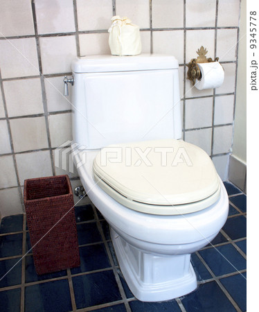 flush toilet 9345778