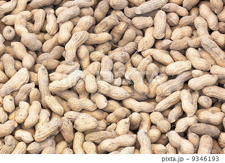 groundnut groundnut 9346193