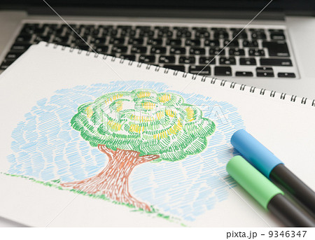 木のイラスト 9346347