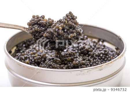 Black caviar in spoon from metal can, high angle 9346732