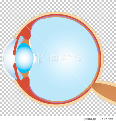 Eyeball Eyeball 9346766