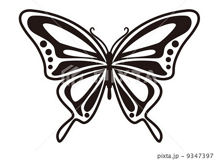 かわいいディズニー画像 ユニークシンプル 蝶々 イラスト 白黒