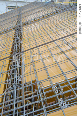 スラブ筋 9347664