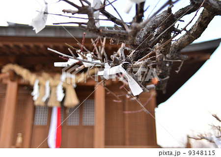 天満神社とおみくじ 天満神社とおみくじ 9348115