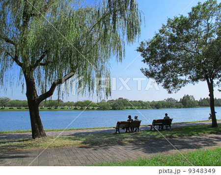 秋の水元公園風景 秋の水元公園風景 9348349