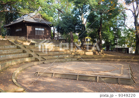 世田谷八幡の土俵 世田谷八幡の土俵 9349220