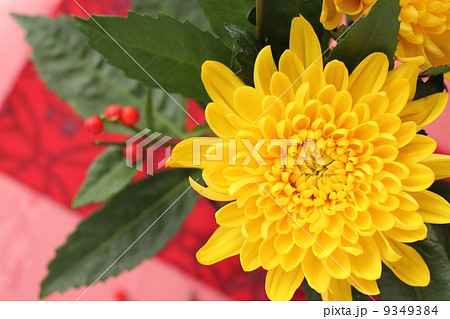 お正月の花 お正月の花 9349384