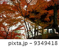 紅葉と寺 9349418
