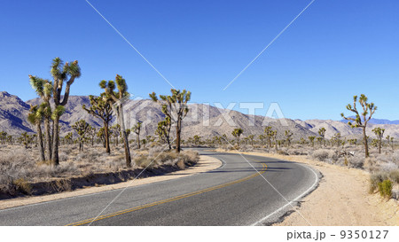 Desert Road 9350127