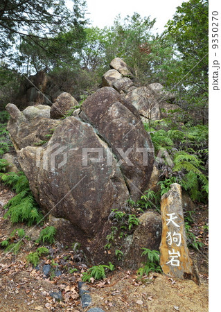 天狗岩 9350270
