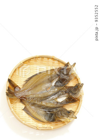 宗八カレイ 9352552