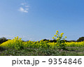9354846