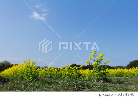 9354846