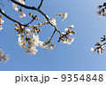 9354848
