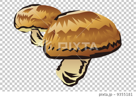 Shiitake mushroom illustration 9355181