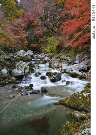 小田深山の渓流（長時間露光） 9355441