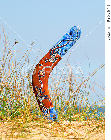 Boomerang on overgrown sandy dune. 9355644