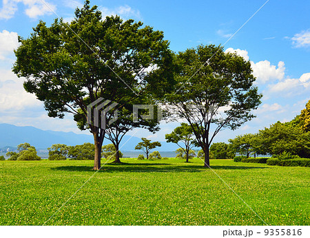 烏丸半島 9355816