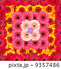 Seamless Pattern from Vibrant Gerbera Flowers 9357486