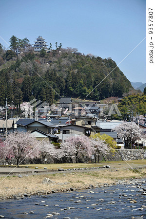 春の郡上八幡城 春の郡上八幡城 9357807
