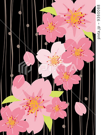 桜_春_黒 9360088