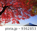 富士山と紅葉 9362853