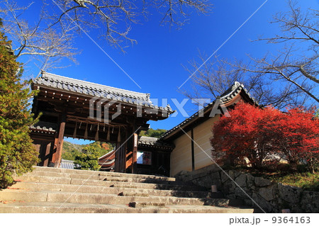 秋の毘沙門堂門跡 9364163