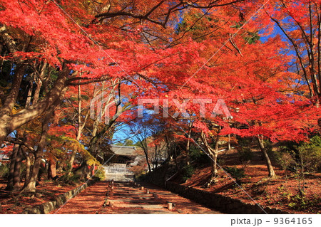 秋の毘沙門堂門跡 9364165