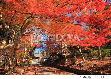 秋の毘沙門堂門跡 9364168