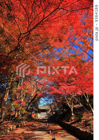 秋の毘沙門堂門跡 9364169