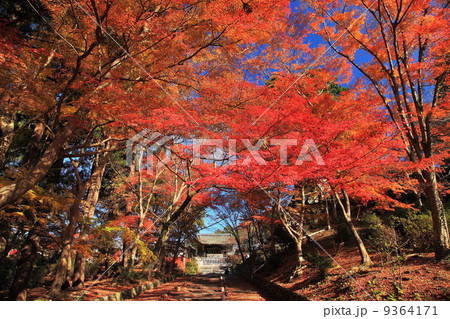 秋の毘沙門堂門跡 9364171