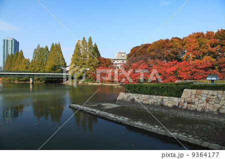 大阪桜ノ宮公園の秋 9364177