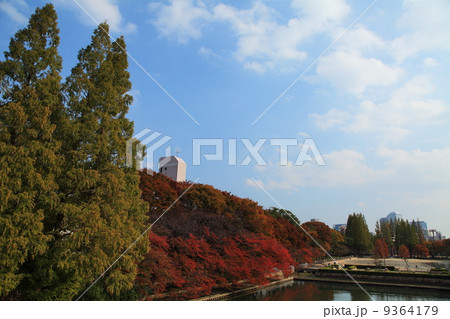 大阪桜ノ宮公園の秋 9364179