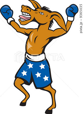 Donkey Jackass Boxer Victory 9365035