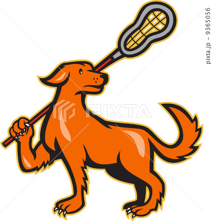 Dog With Lacrosse Stick Side View 9365056