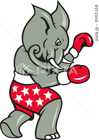 Elephant Boxer Boxing Stance 9365168