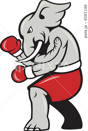 Elephant Boxer Boxing Stance 9365196