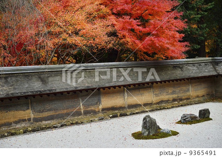 龍安寺 石庭 紅葉 秋 龍安寺 石庭 紅葉 秋 9365491