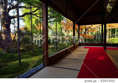 宝泉院 額縁庭園 宝泉院 額縁庭園 9365492