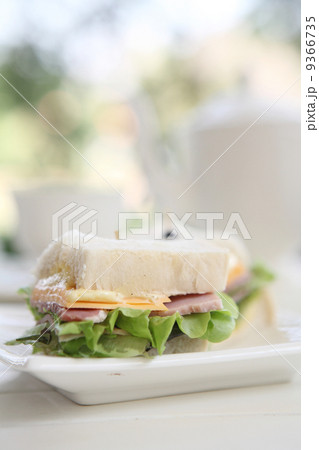 sandwich ham and cheese 9366735