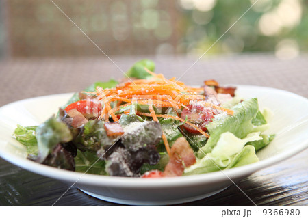 ceacar salad in close up 9366980