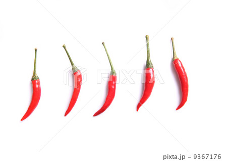 Red hot chili pepper isolated on a white background 9367176