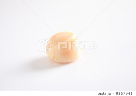 Scallops in white background Scallops in white background 9367941