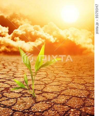 Green plant growing trough dead soil 9370347