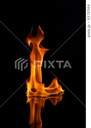 9370564