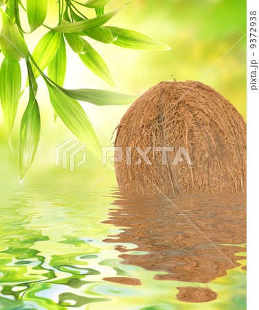 Coconut reflected in water Coconut reflected in water 9372938