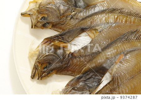 宗八カレイ 9374287