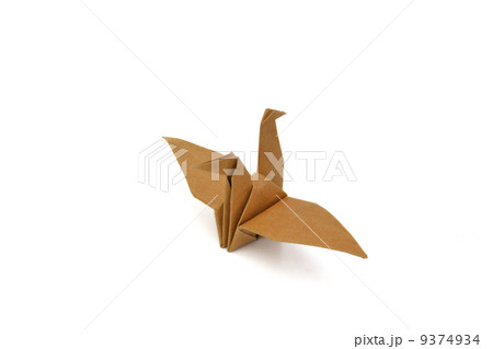 Bird paper 9374934