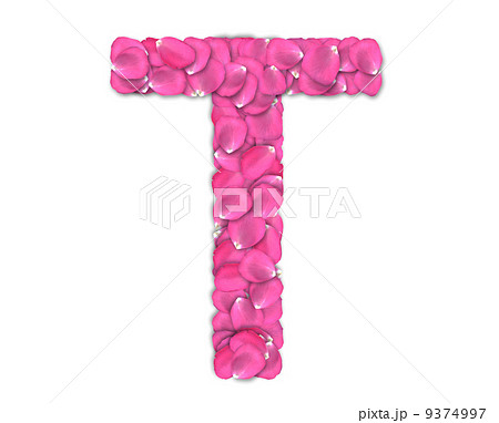Font from rose petals Font from rose petals 9374997